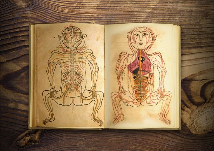 Teşhir-İ Mansuri (Mansur’un Anatomisi)